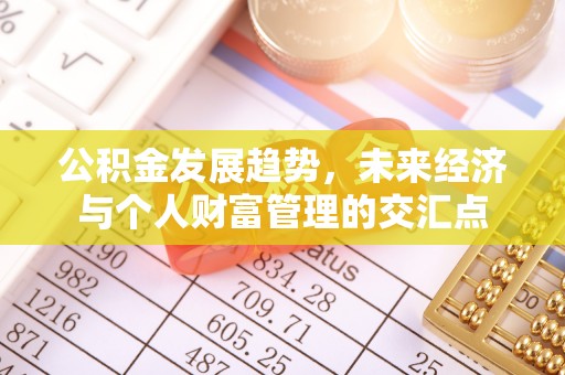 古蔺公积金发展趋势，未来经济与个人财富管理的交汇点