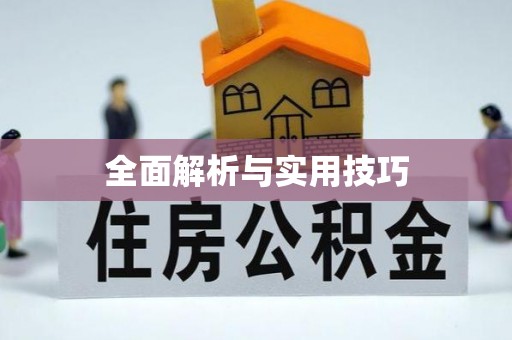 古蔺全面解析与实用技巧
