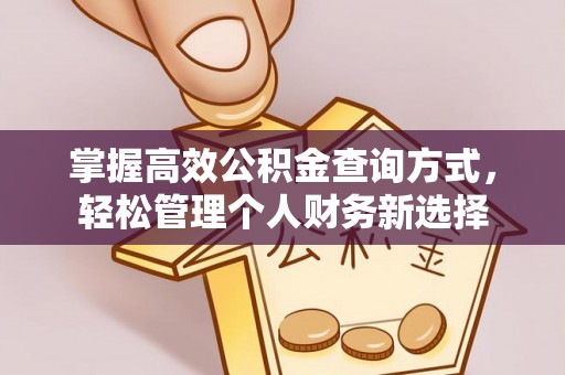 古蔺掌握高效公积金查询方式，轻松管理个人财务新选择