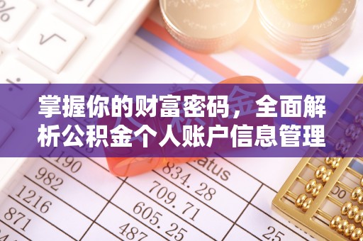 古蔺掌握你的财富密码，全面解析公积金个人账户信息管理与优化