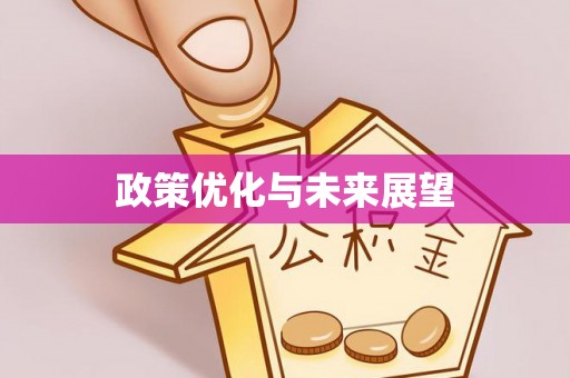 古蔺政策优化与未来展望