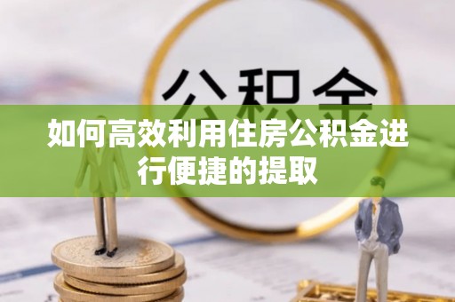 古蔺如何高效利用住房公积金进行便捷的提取