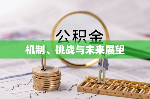 古蔺机制、挑战与未来展望